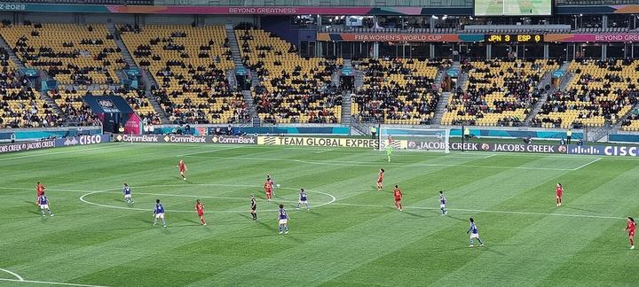 一日国米 终生蓝黑 谢谢你陪伴着我的青春 米兰德比加油 Forza Inter 国际米兰（封面配图）